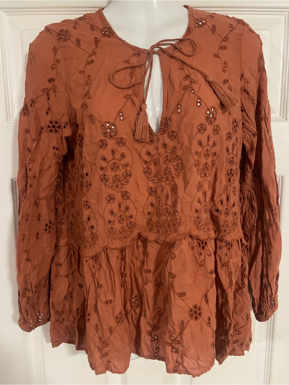 American Eagle Embroidered Terracotta Eyelet Peasant Blouse with Tassel Tie NWOT